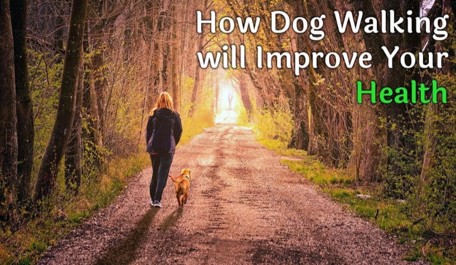 Why Walking Is Better Than Running to Improve Your Overall Health